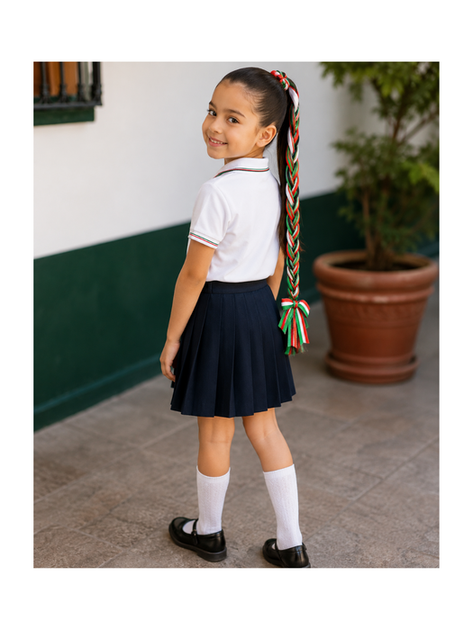 Trenza Patria