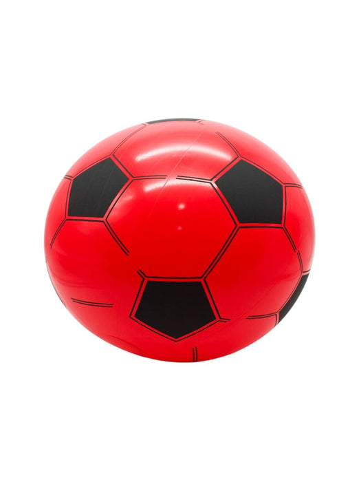 Pelota Inflable Grande