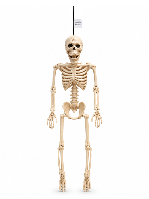 Calavera Decorativa