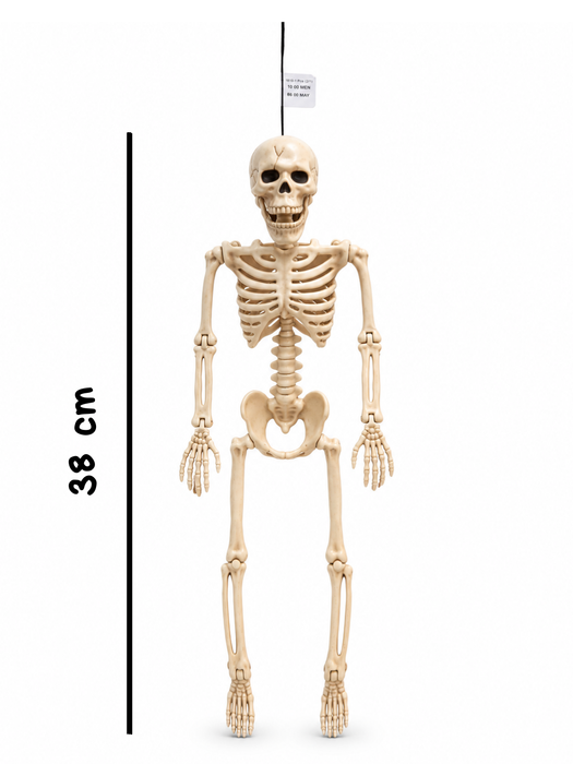Calavera Decorativa